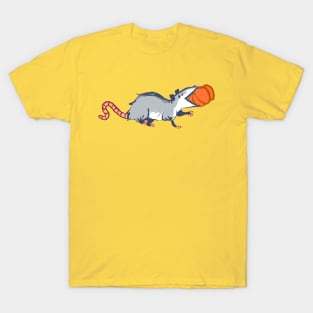 Possum and pumpkin must be fall T-Shirt